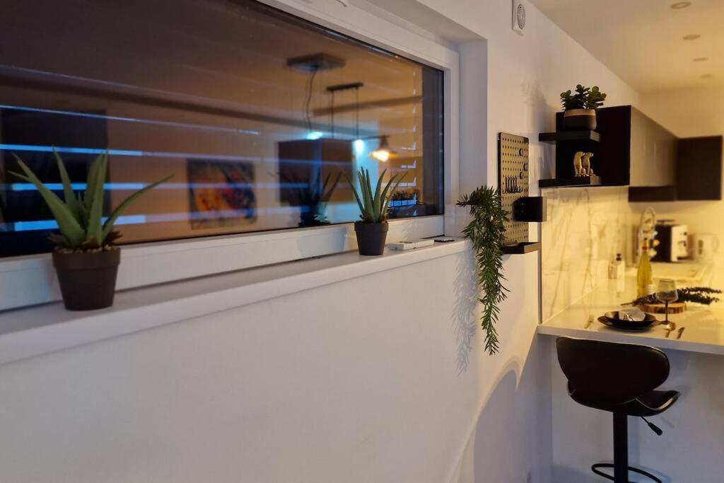 Suite Prestige Logement Neuf Avec Spa Et Ecran De Cinema En Rez De Jardin Colmar Exteriör bild