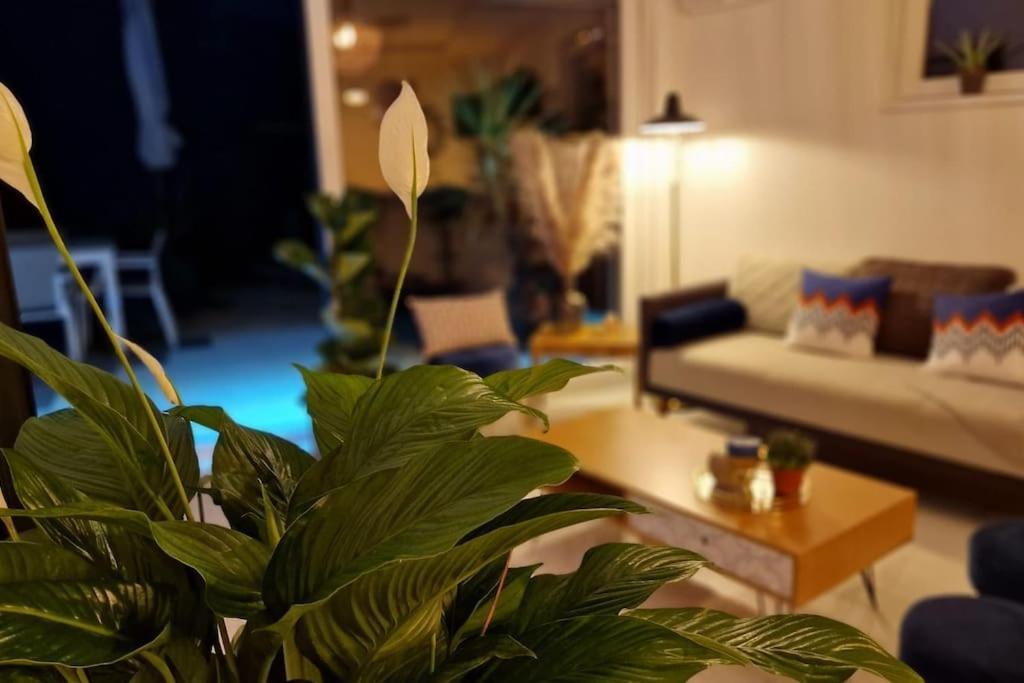 Suite Prestige Logement Neuf Avec Spa Et Ecran De Cinema En Rez De Jardin Colmar Exteriör bild
