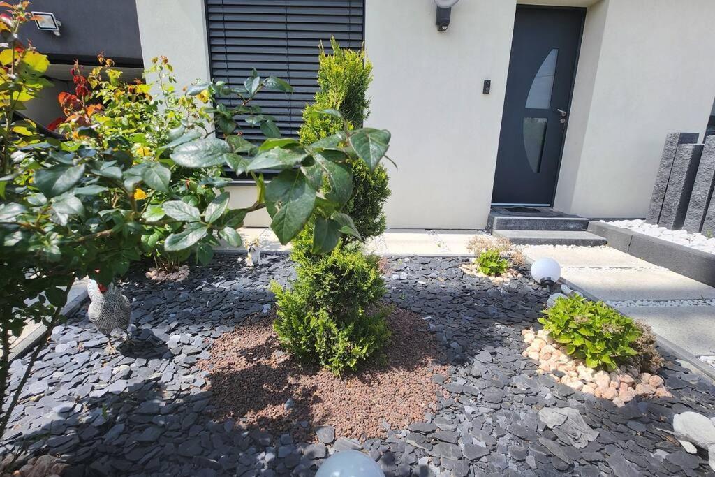 Suite Prestige Logement Neuf Avec Spa Et Ecran De Cinema En Rez De Jardin Colmar Exteriör bild