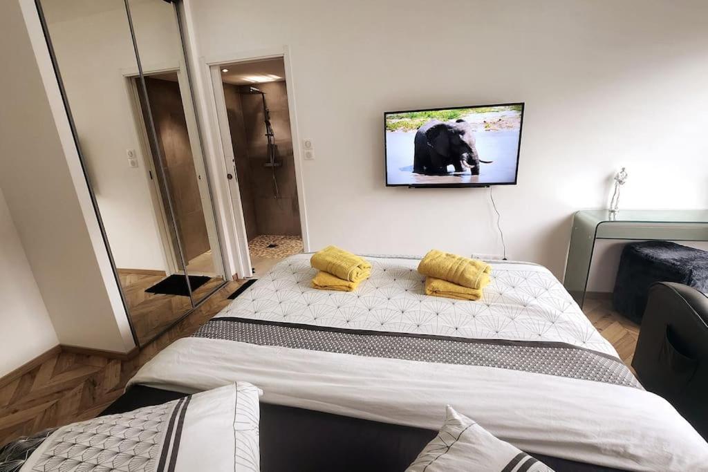 Suite Prestige Logement Neuf Avec Spa Et Ecran De Cinema En Rez De Jardin Colmar Exteriör bild