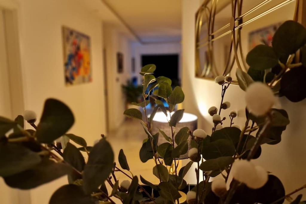 Suite Prestige Logement Neuf Avec Spa Et Ecran De Cinema En Rez De Jardin Colmar Exteriör bild