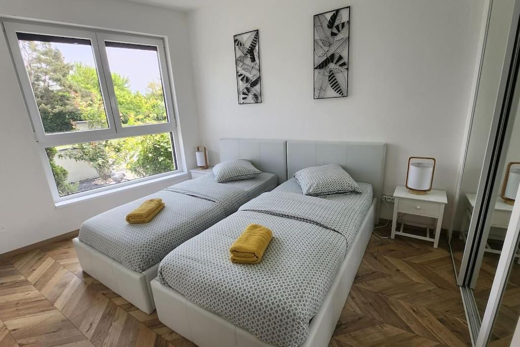 Suite Prestige Logement Neuf Avec Spa Et Ecran De Cinema En Rez De Jardin Colmar Exteriör bild